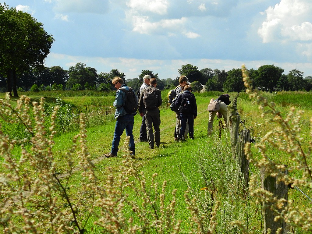 KNNV excursie Dakhorst [857] 06-aug-2017 (Dakhorst, Ypelo).jpg - KNNV excursie Dakhorst